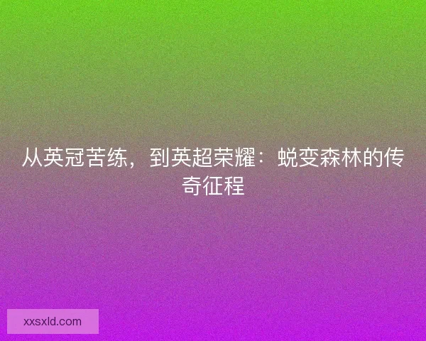 从英冠苦练,到英超荣耀:蜕变森林的传奇征程 从英冠苦练,到英超荣耀:蜕变森林的传奇征程