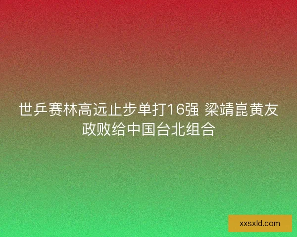 世乒赛林高远止步单打16强 梁靖崑黄友政败给中国台北组合 世乒赛林高远止步单打16强 梁靖崑黄友政败给中国台北组合